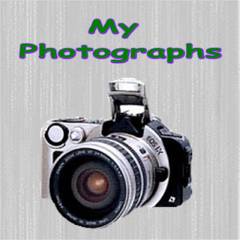 My Photos
